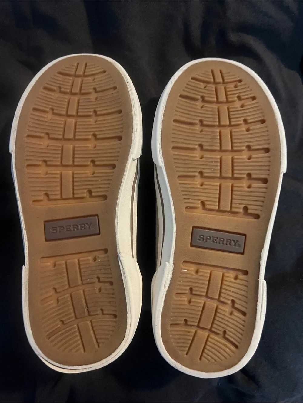 Sperry classic canvas